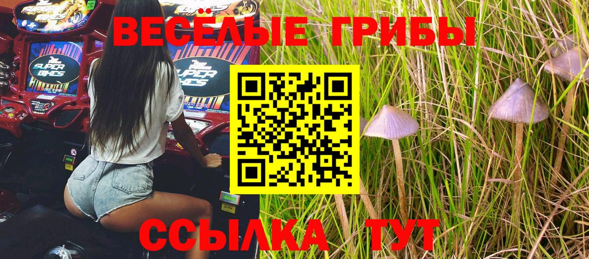 Галлюциногенные грибы Cubensis  Вход с VPN  Камышин 