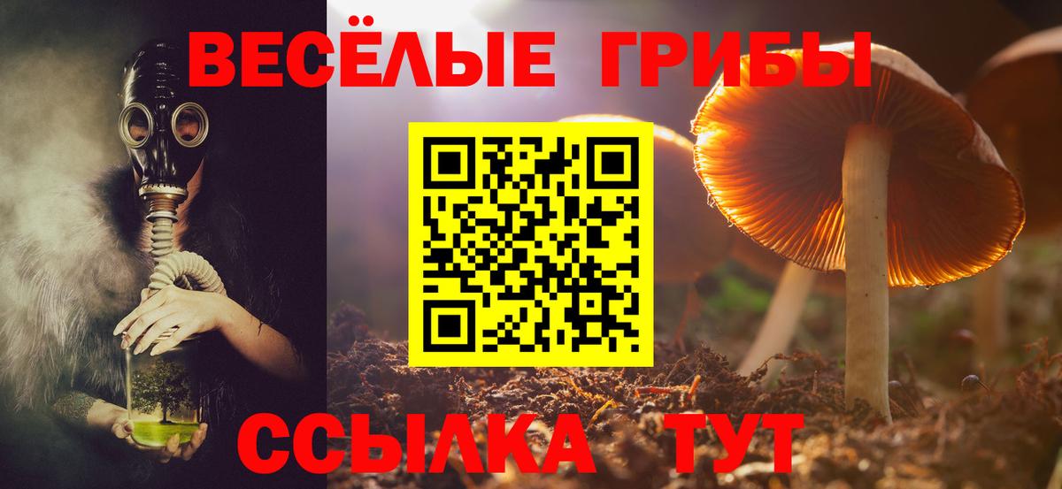 Галлюциногенные грибы прущие грибы Камышин