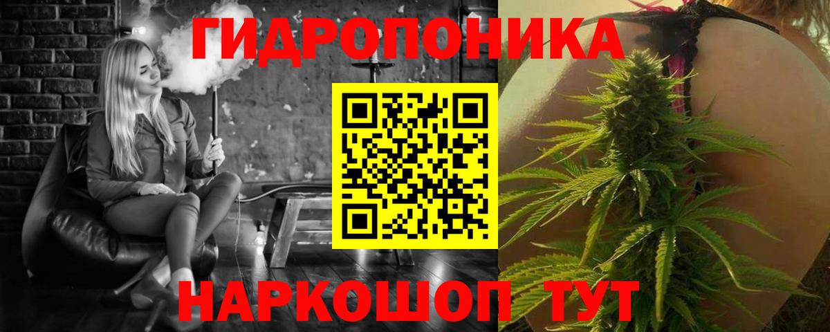 Конопля Ganja Камышин