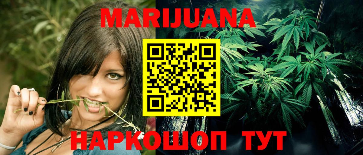 Меф Камышин